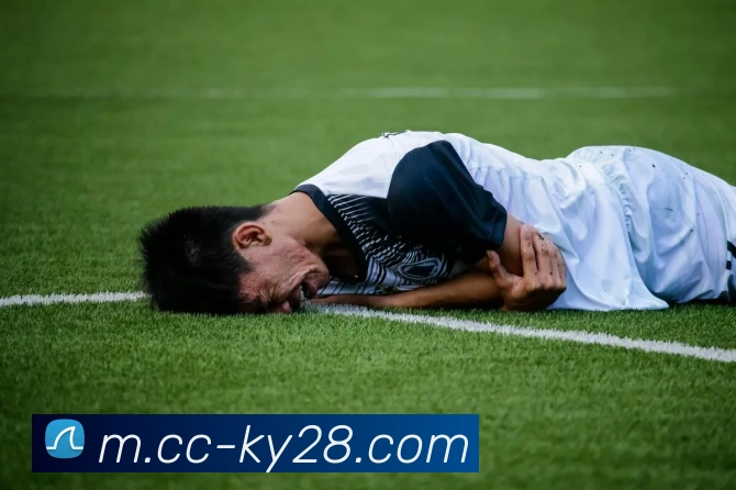NG28圈全站App